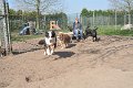 Afb_20170409w (13)